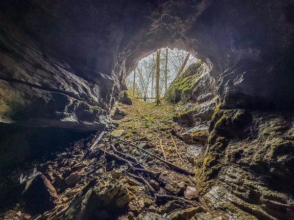 7942 Priceville Road, Munfordville, KY 42722