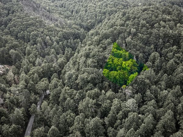 Stepping Stone Drive, Sevierville, TN 37862