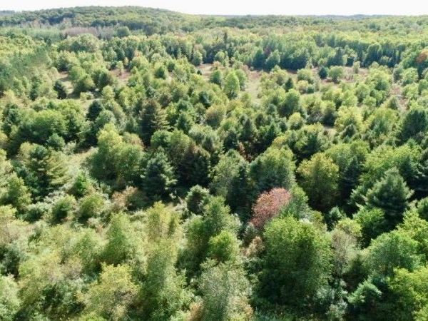 TBD M-28 HWY, McMillan, MI 49853