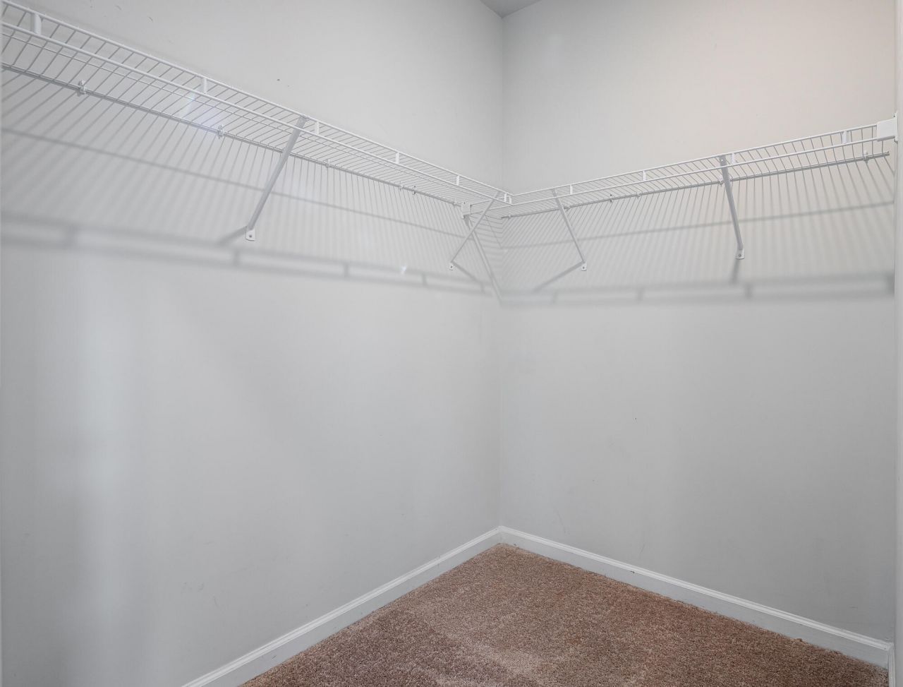 833 Kirby Court Photo 14