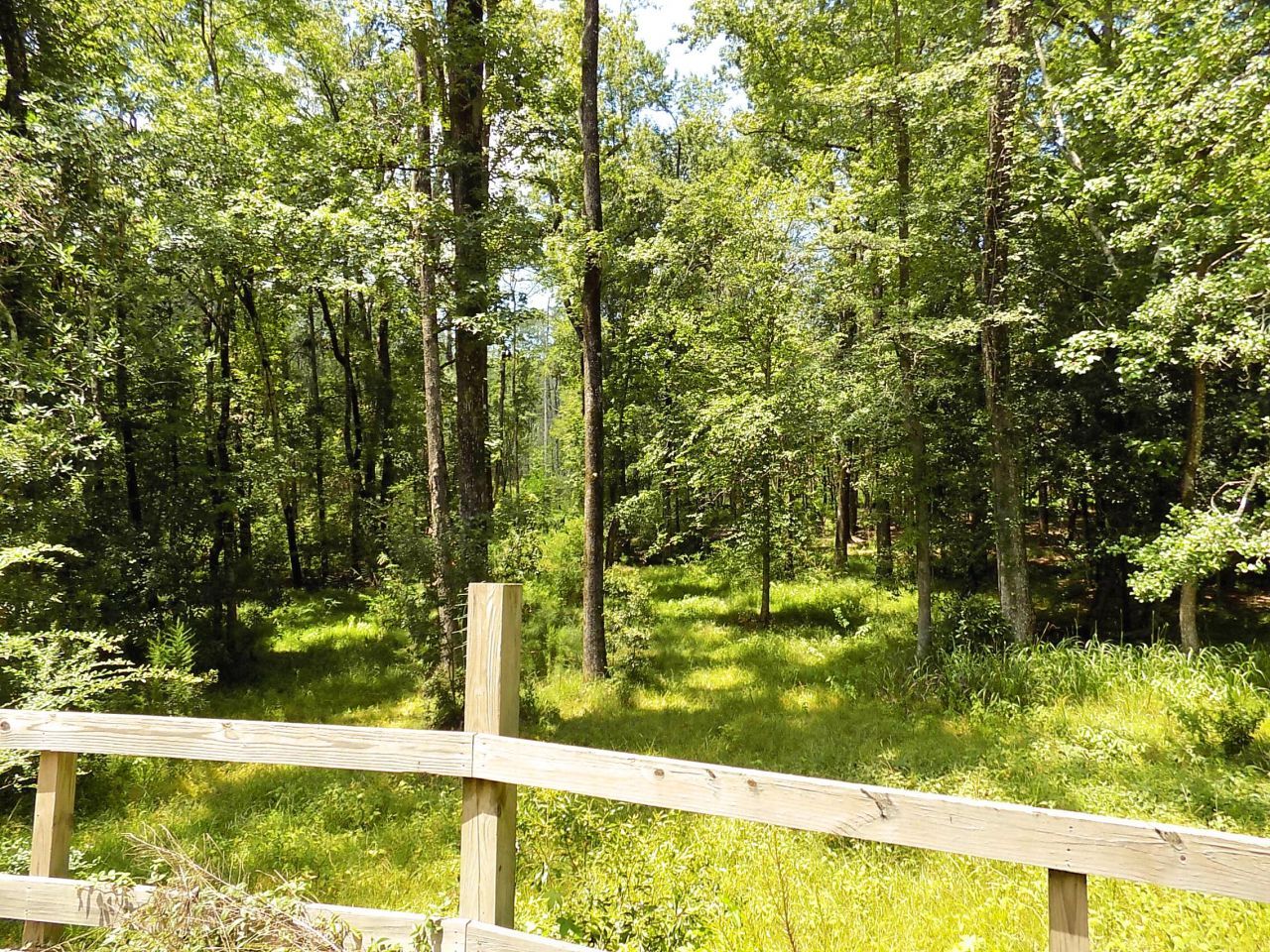 6370 Shilelagh Oaks Parkway Photo 48