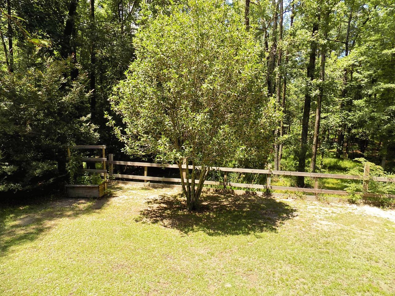 6370 Shilelagh Oaks Parkway Photo 62