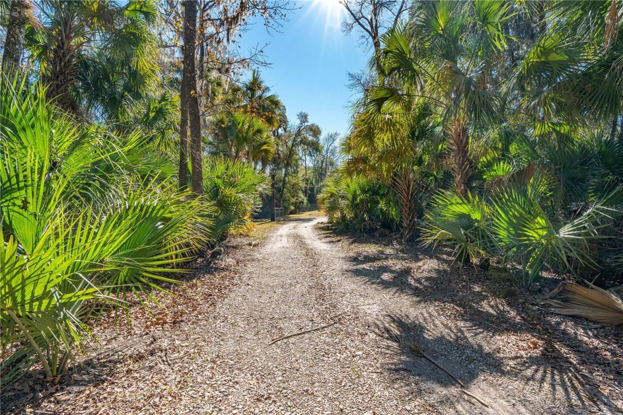 3180 Volco Road, Edgewater, FL 32141 Photo