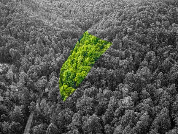 Lot 9 Stepping Stone Drive, Sevierville, TN 37862