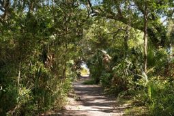 14 55th Avenue photo 4