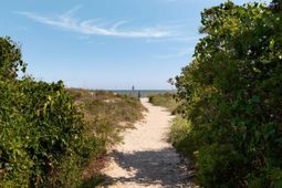 14 55th Avenue photo 4