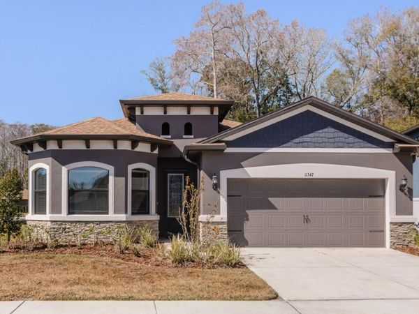 11347 WEAVER HOLLOW ROAD, NEW PORT RICHEY, FL 34654