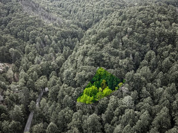 Lot 10 Stepping Stone Drive, Sevierville, TN 37862