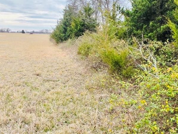 TBD FM 196 S, Pattonville, TX 75468