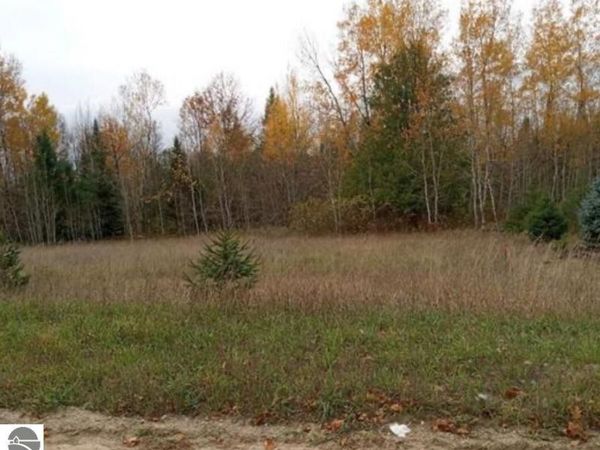 Bennett Road, Williamsburg, MI 49690