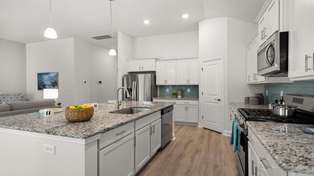 3025 Berry Bush Way Photo 12