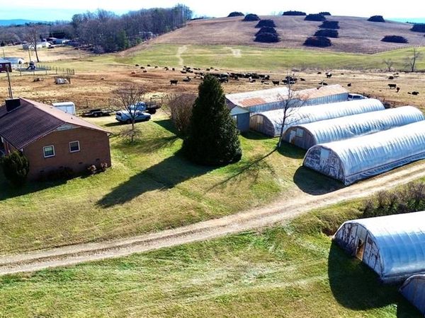 8621 Austin Traphill Road , Traphill, NC 28685