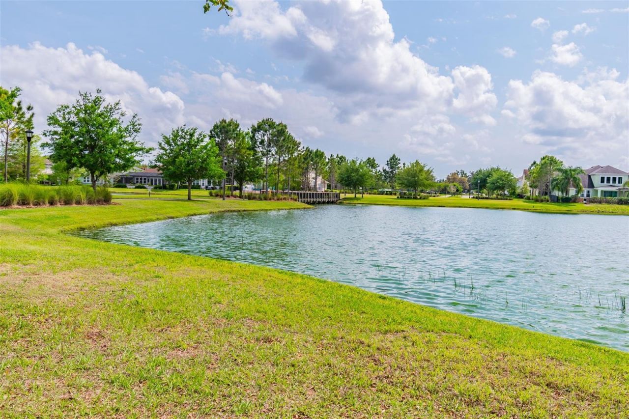 14663 Promenade Parkway, Odessa, FL 33556 Photo