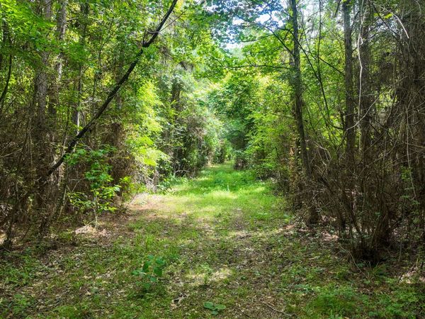 Mississippi 570 , Summit, MS 39666