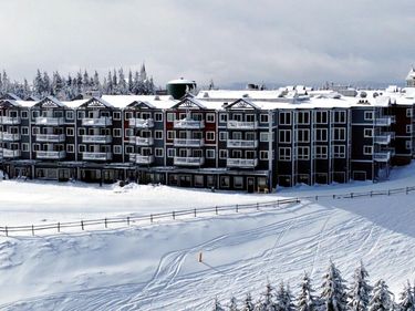 329 Mountain Lodge, Snowshoe, WV 26209