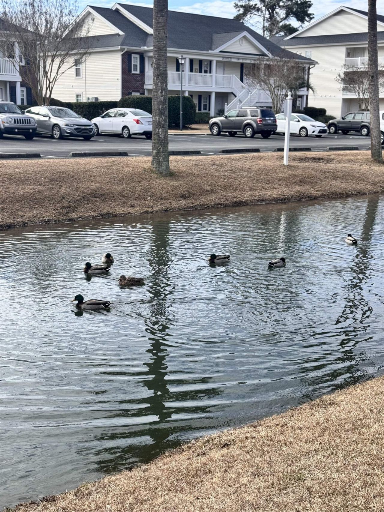 1294 River Oaks Dr. Photo 27