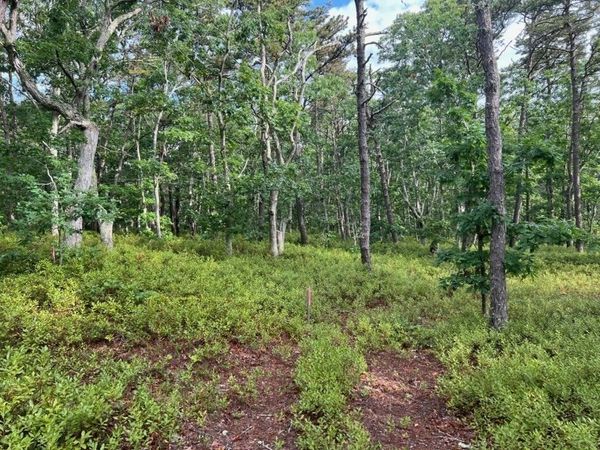 37 Oak Valley Rd, Wellfleet, MA 02667