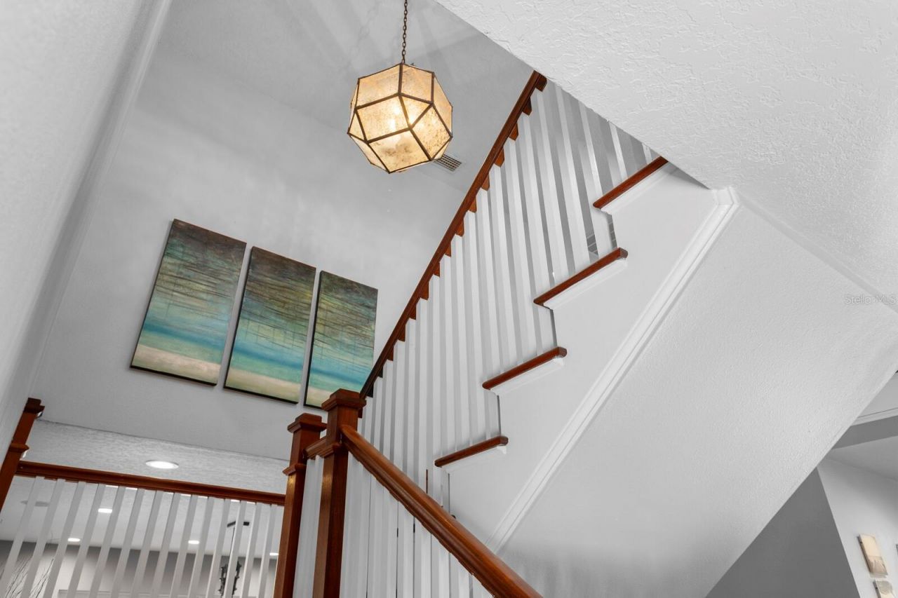 10402 Oakbrook Drive, Tampa, FL 33618 Photo