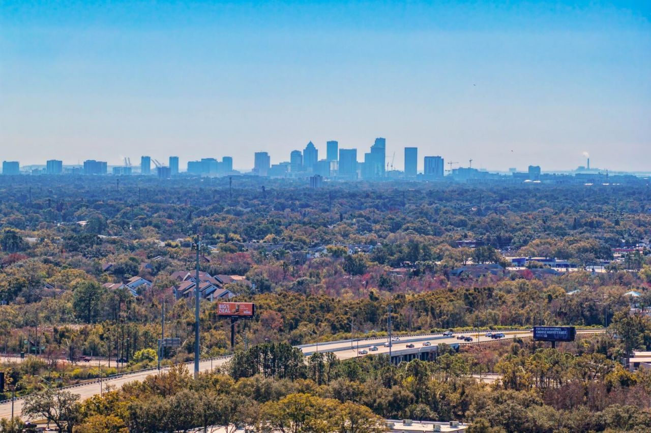 10402 Oakbrook Drive, Tampa, FL 33618 Photo