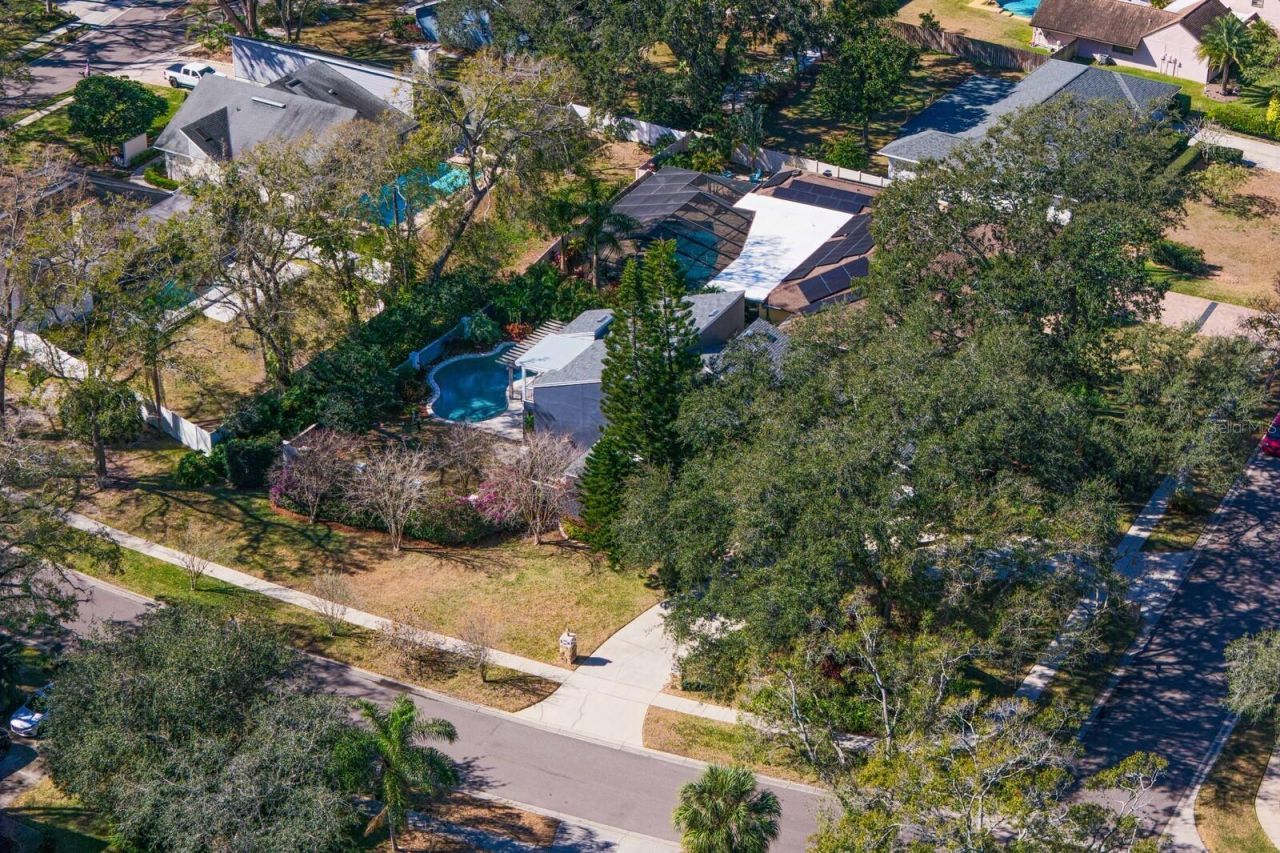 10402 Oakbrook Drive, Tampa, FL 33618 Photo