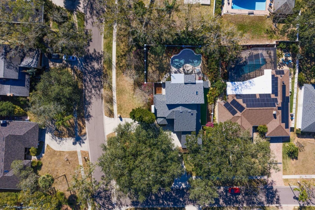 10402 Oakbrook Drive, Tampa, FL 33618 Photo