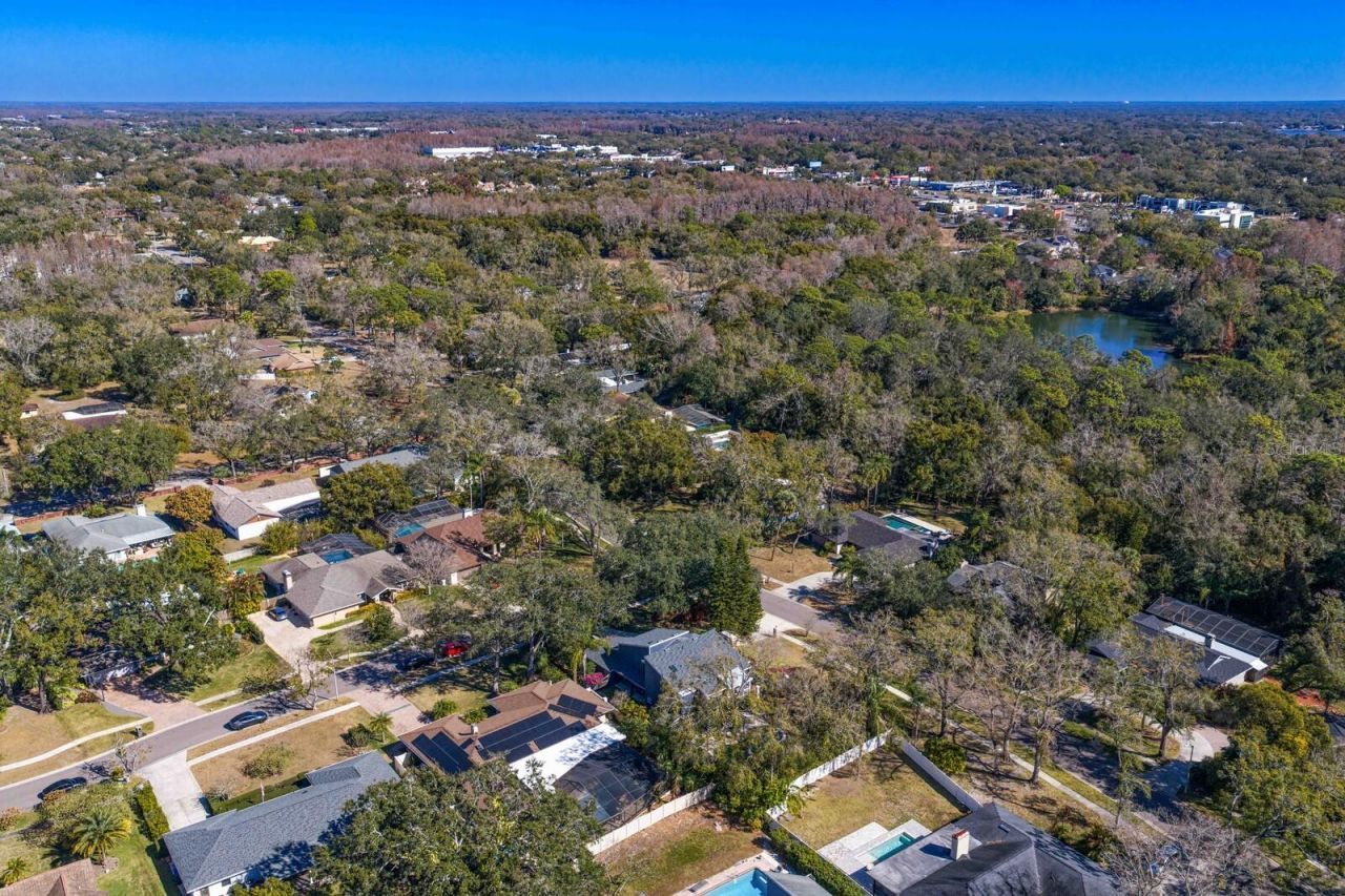 10402 Oakbrook Drive, Tampa, FL 33618 Photo