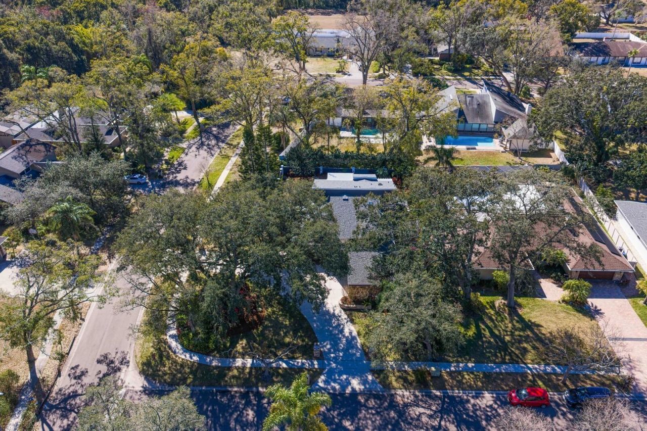 10402 Oakbrook Drive, Tampa, FL 33618 Photo