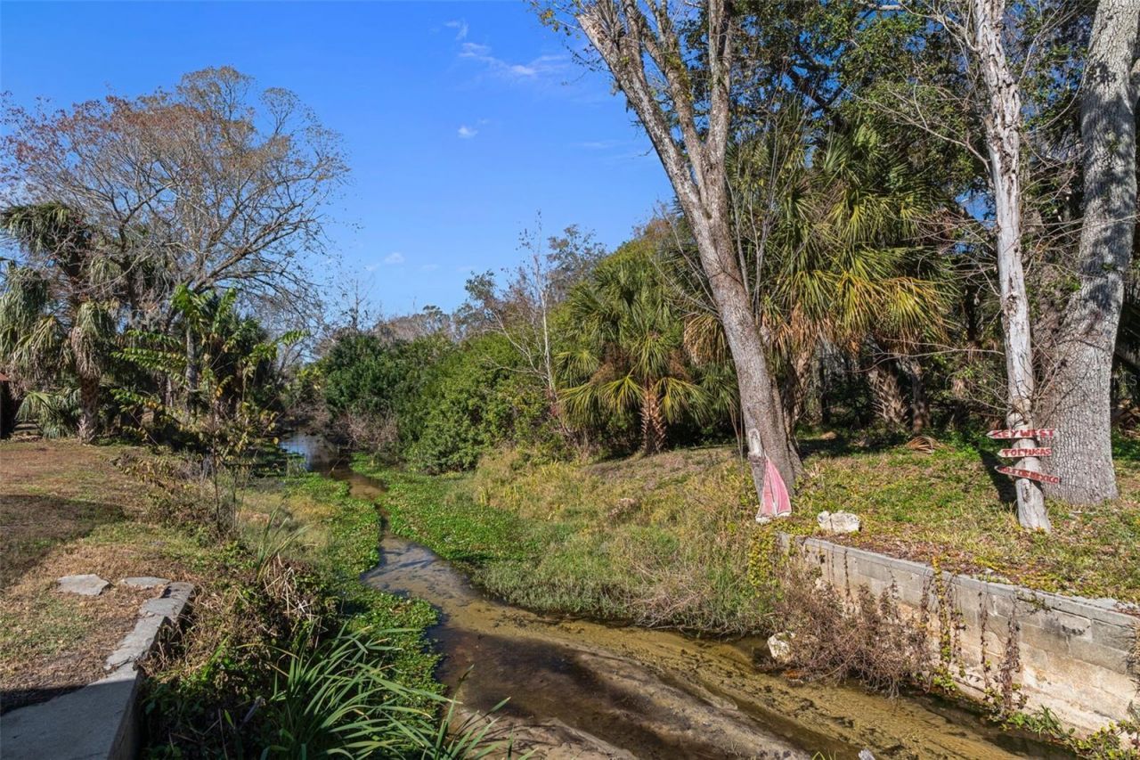 8301 Congress Street, Port Richey, FL 34668 Photo