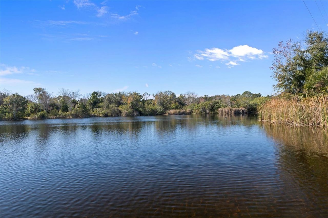 8301 Congress Street, Port Richey, FL 34668 Photo