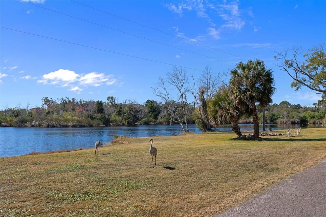 8301 Congress Street, Port Richey, FL 34668 Photo