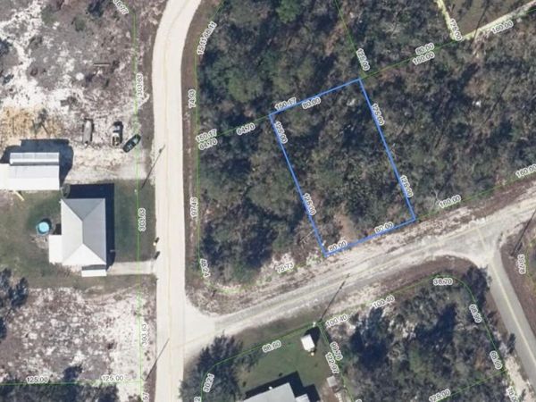 102 EDISON ROAD NE, LAKE PLACID, FL 33852