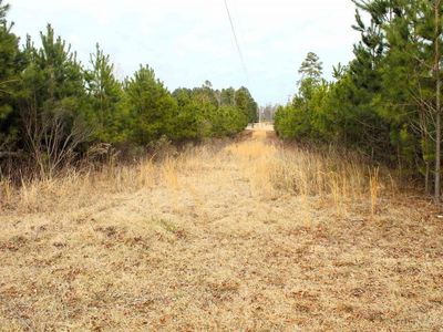 TBD Crooked Creek Road , Chapin, SC 29036