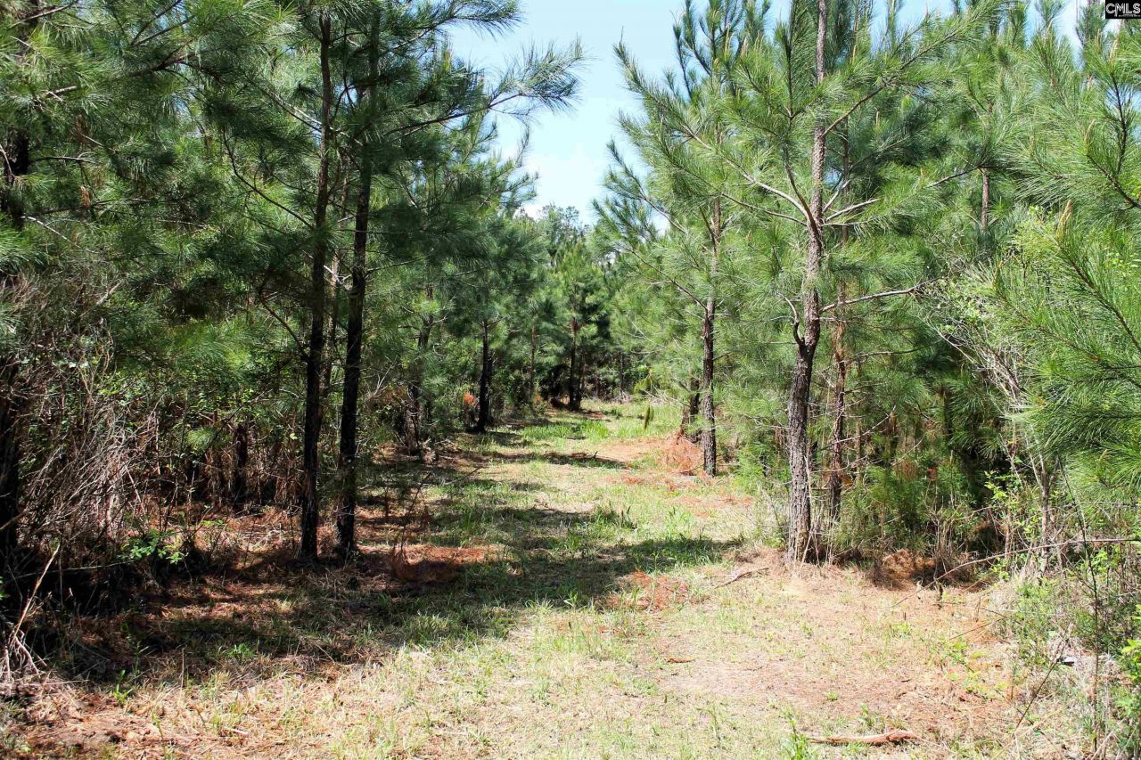 Tbd Crooked Creek Road  Photo 11