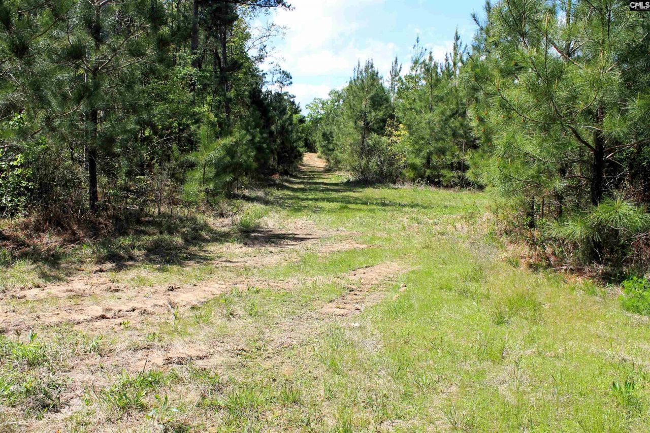 Tbd Crooked Creek Road  Photo 12