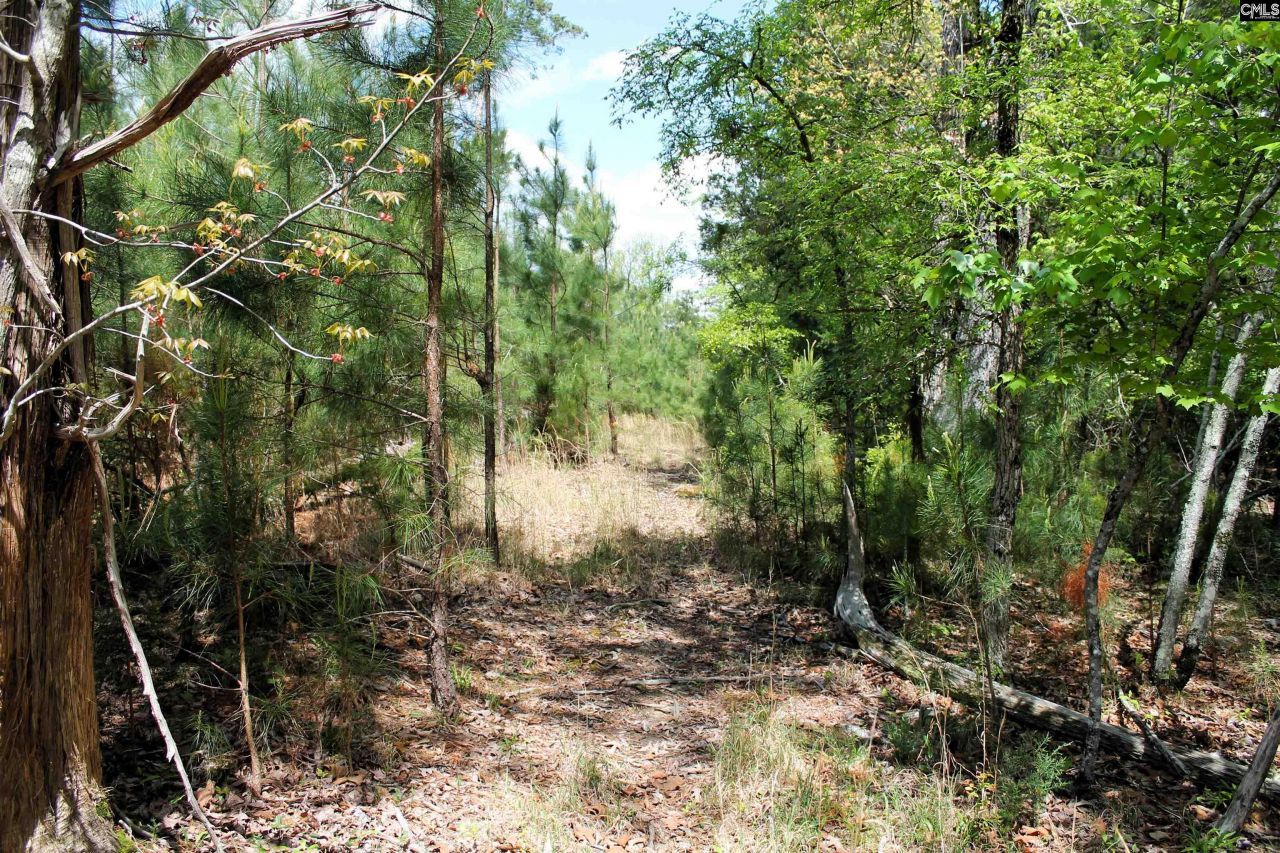 Tbd Crooked Creek Road  Photo 13