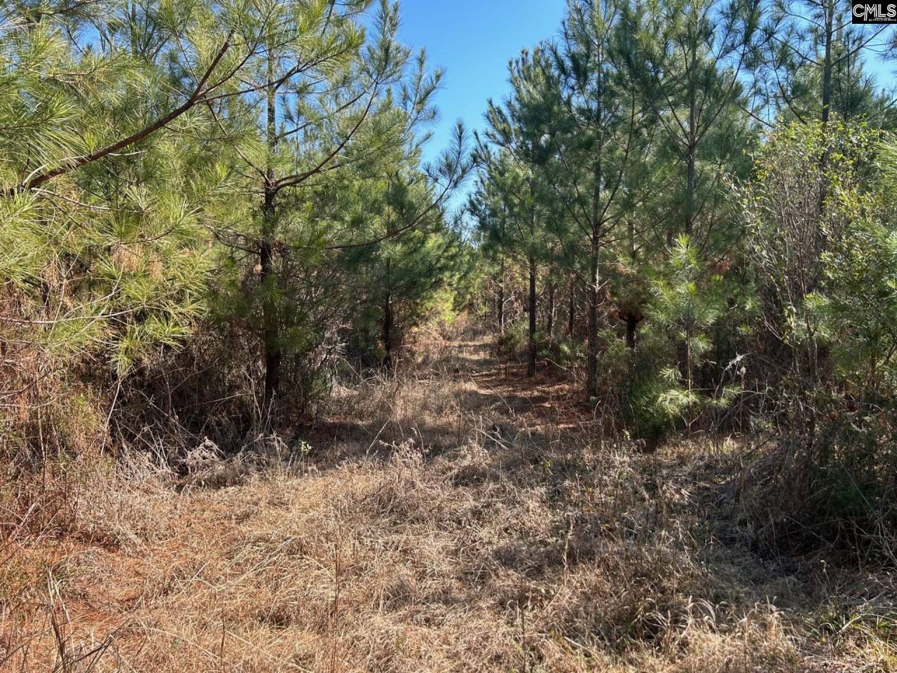 Tbd Crooked Creek Road  Photo 14