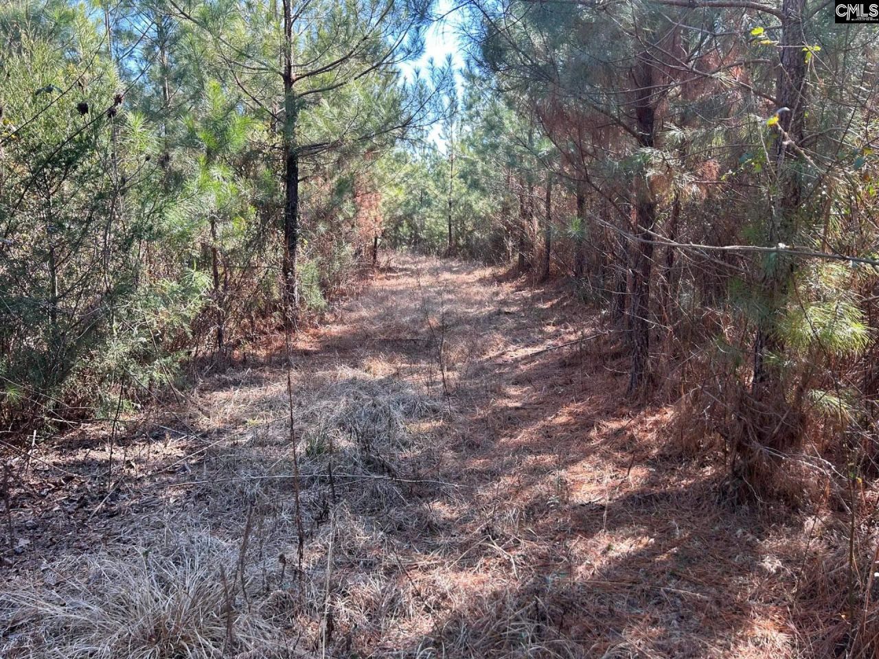 Tbd Crooked Creek Road  Photo 15