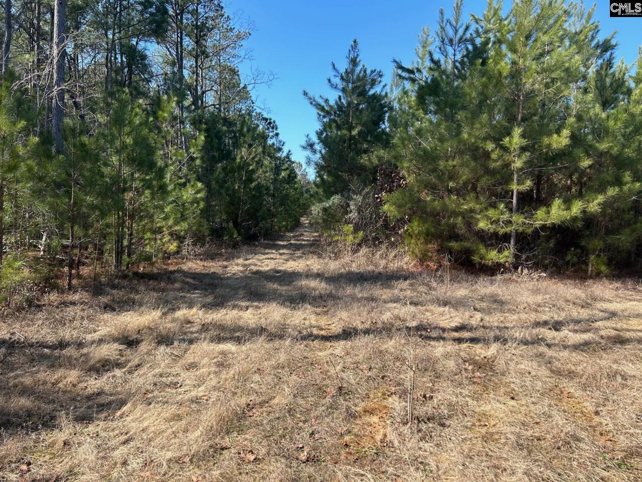 Tbd Crooked Creek Road  Photo 16