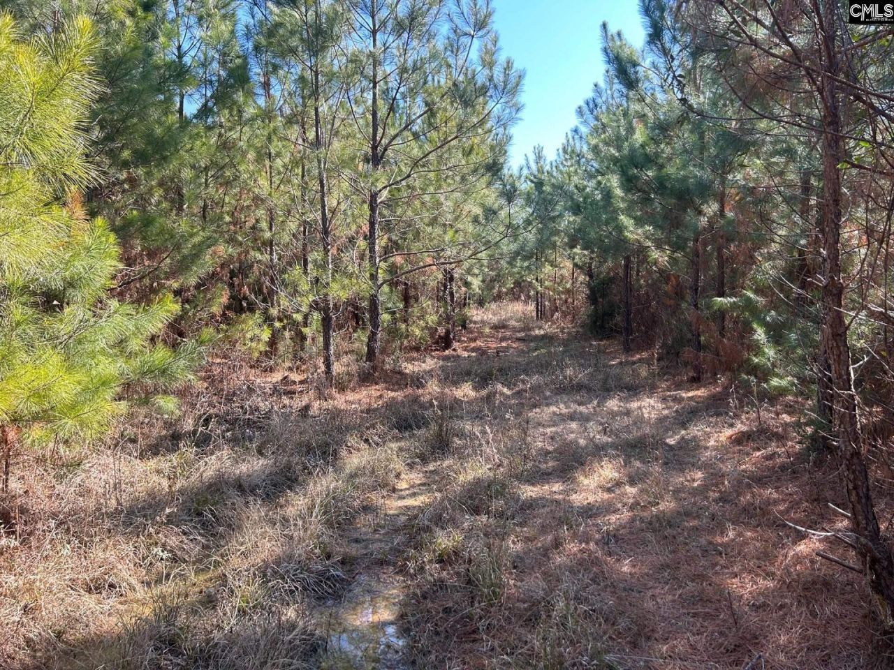 Tbd Crooked Creek Road  Photo 17