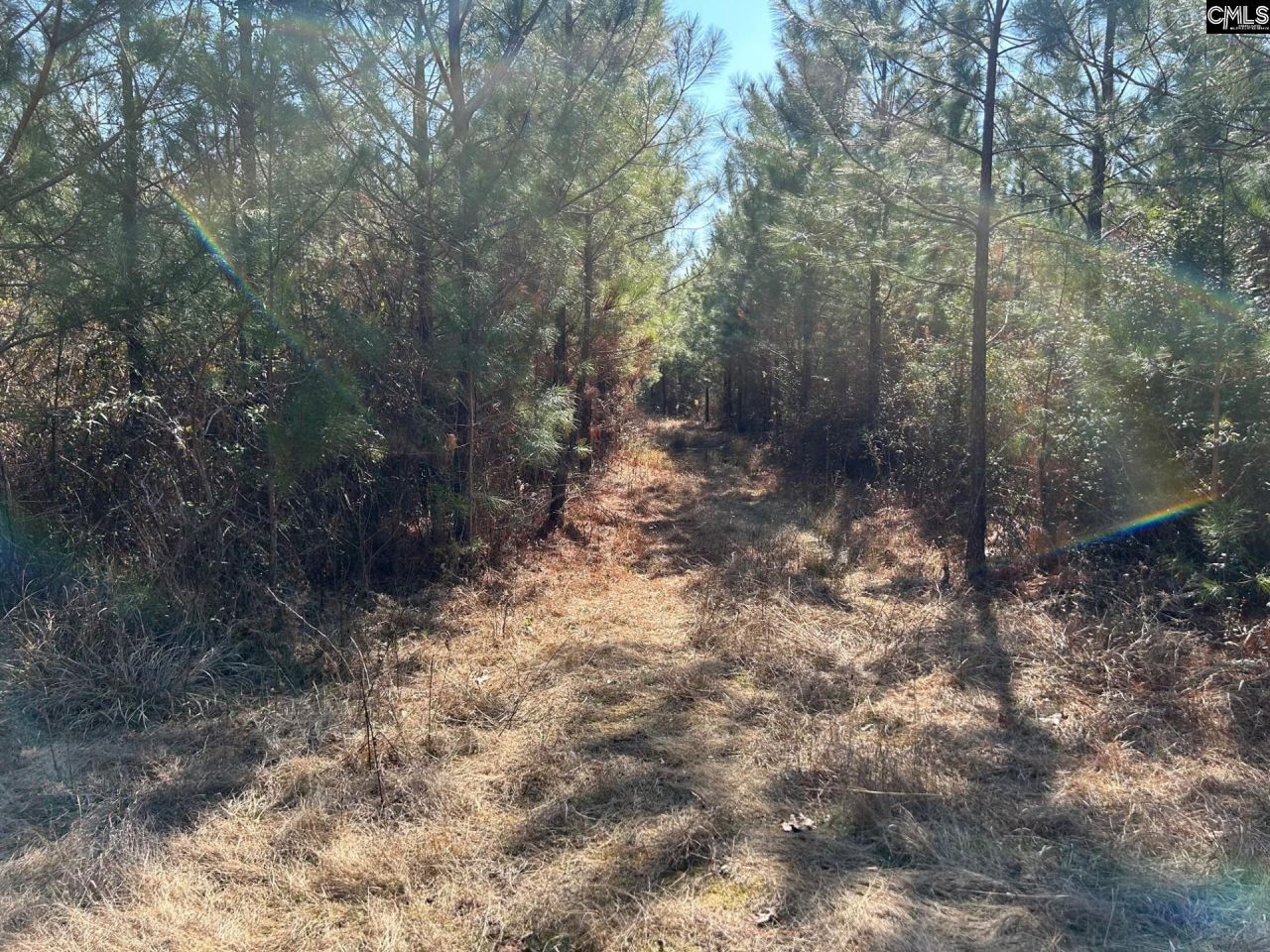 Tbd Crooked Creek Road  Photo 18