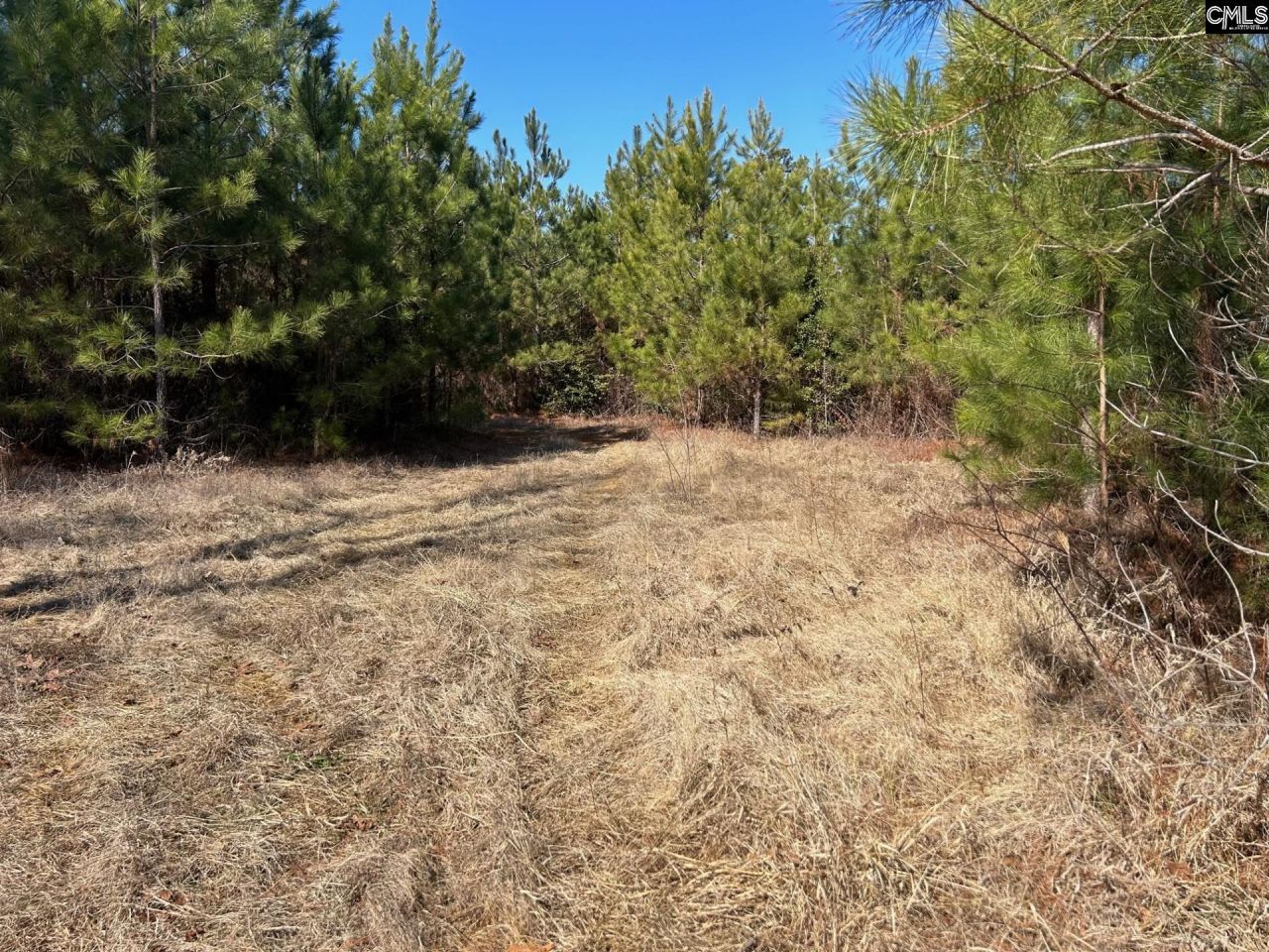 Tbd Crooked Creek Road  Photo 19