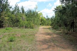 Tbd Crooked Creek Road  photo 4