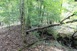 Tbd Crooked Creek Road  photo 4