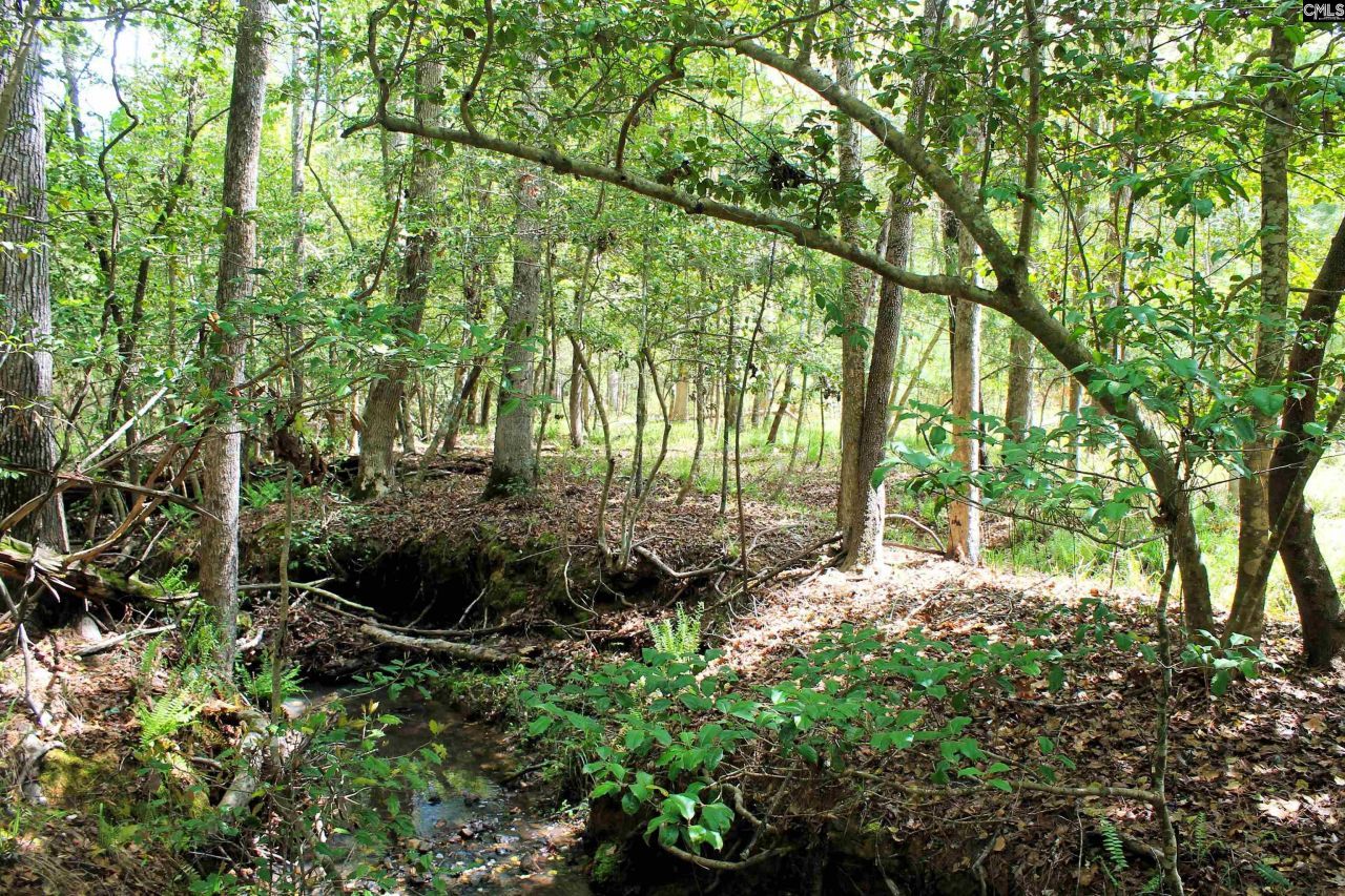 Tbd Crooked Creek Road  Photo 4