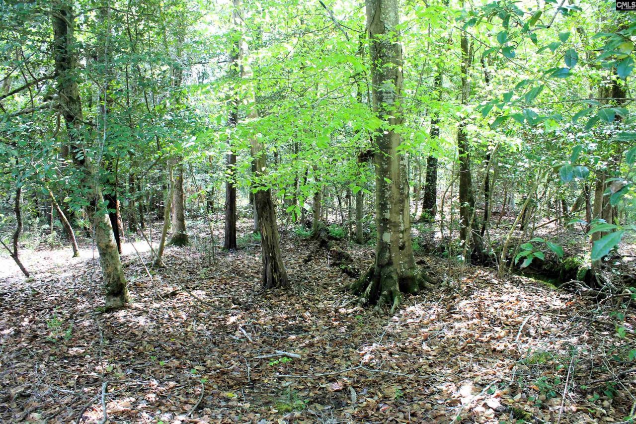 Tbd Crooked Creek Road  Photo 5