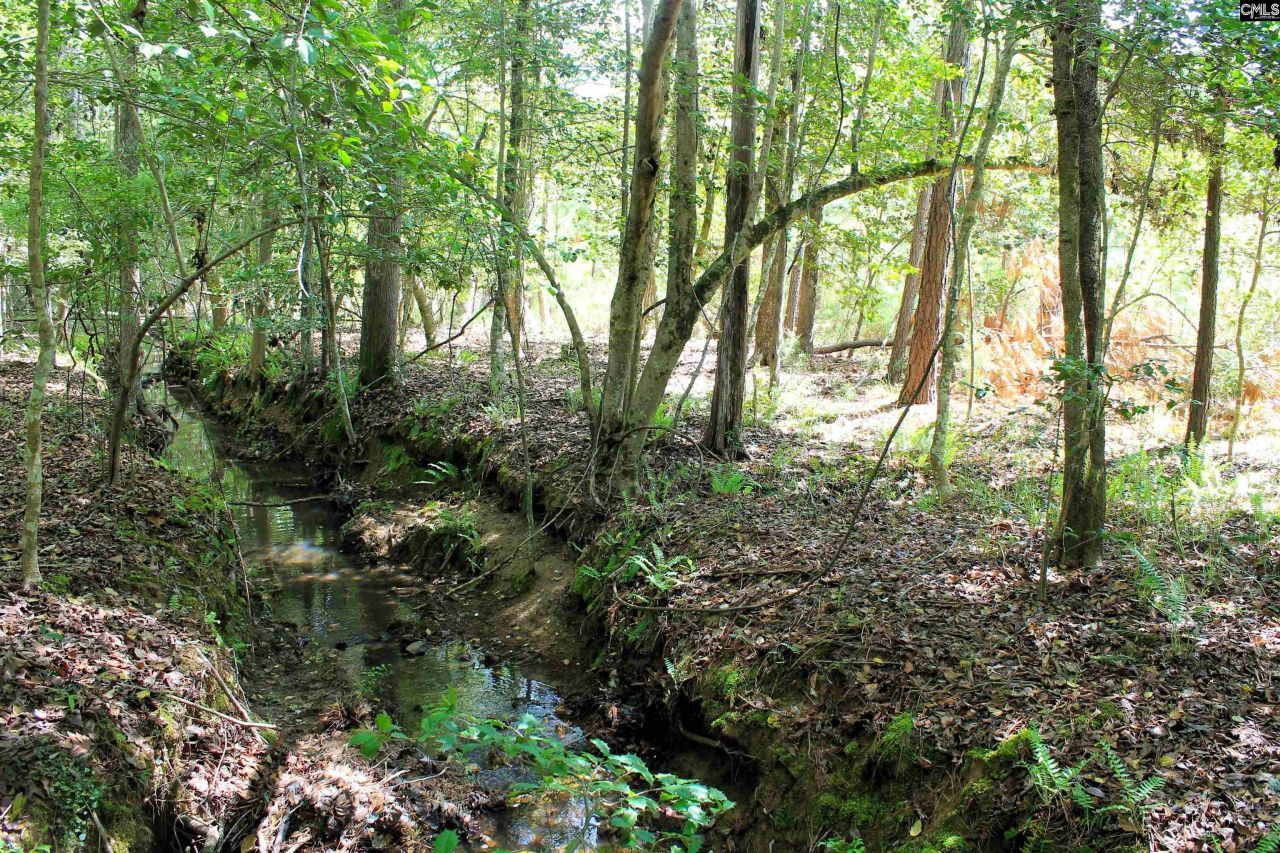 Tbd Crooked Creek Road  Photo 6