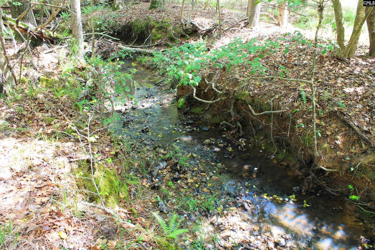 Tbd Crooked Creek Road  Photo 7