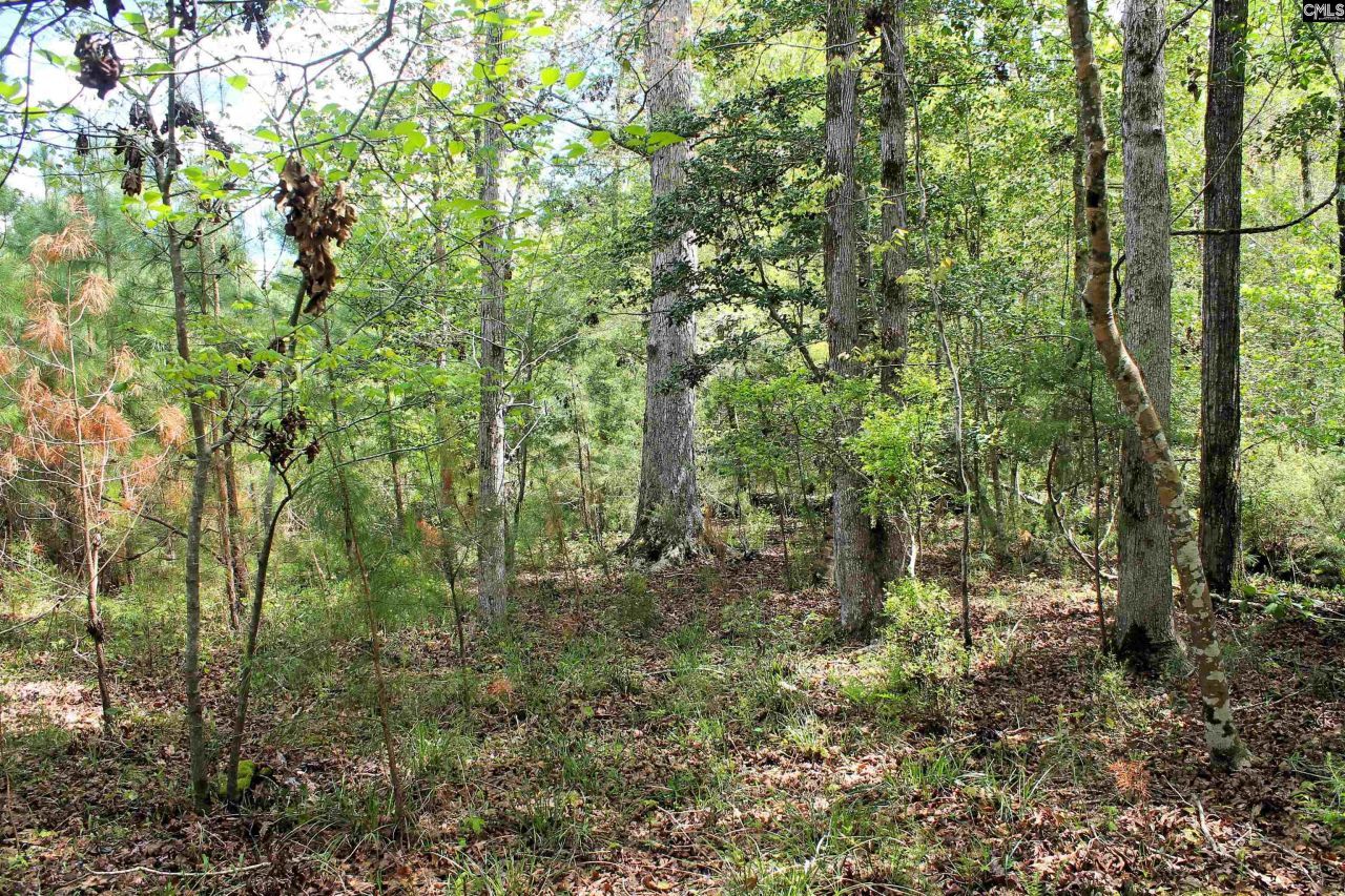 Tbd Crooked Creek Road  Photo 8