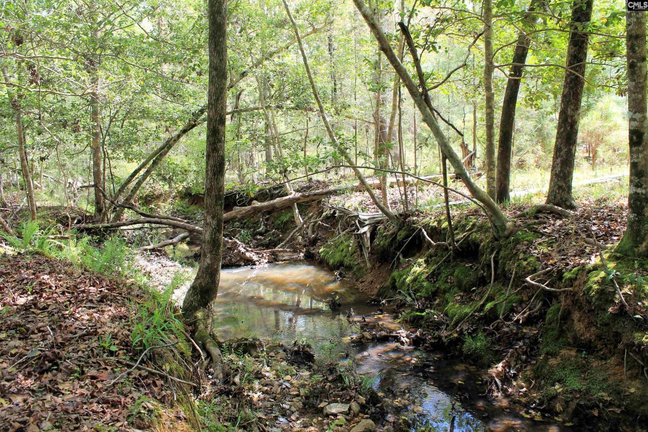 Tbd Crooked Creek Road  Photo 9