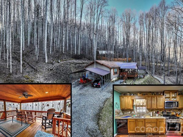 390 Camp Branch Road, Whittier, NC 28789